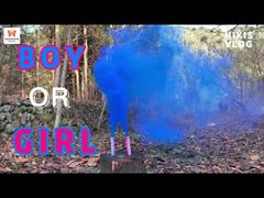 中国の工場の日中の結婚式のハンドヘルドカラー煙フレア花火パーティー性別発表煙爆弾