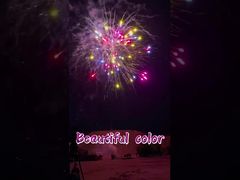 工場でカスタマイズされた美しい色 1.4g 消費者向け花火ケーキ 花火 バッテリーケーキ 煙火