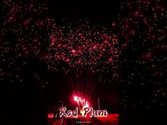 瀏陽花火用品 56発 サルート アウトドア ケーキ バッテリー 紅梅 花火 火工品