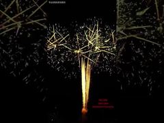 100発フェスティバルケーキ花火大会イベント屋外プロフェッショナル1.3G花火