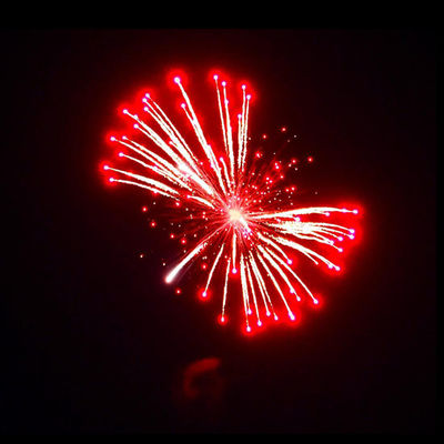 Liuyang Mandarin 1.3g Un0335 Fireworks 4'' Inch Display Shells Firework Professional Pyrotechnics Shell Balls For Sale