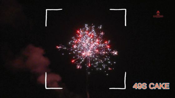 中国語瀏陽市49の打撃の消費者ケーキの花火2022年