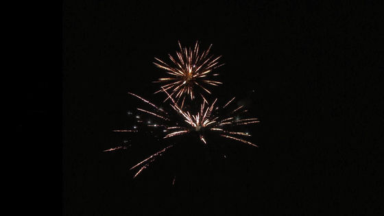 中国輸出 高品質 22ショット 350g ケーキ花火 各形 1.4g Un0336 花火