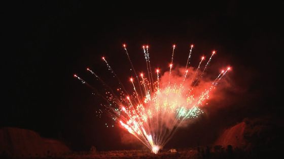 カスタマイズされる中国の火工術は専門のケーキの花火1.3g 100の打撃を表示する