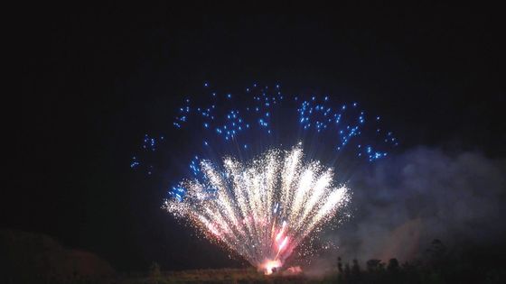 マンダリンの火工術の瀏陽市の専門のケーキの花火100つの打撃