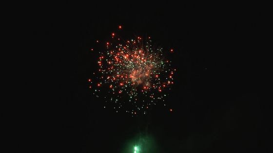 クリスマスの祝祭の屋外の専門のケーキの花火のカスタマイズ可能な49の打撃