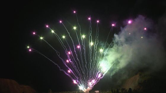 マンダリン100の打撃のクリスマスの祝祭のケーキの花火の屋外の専門家