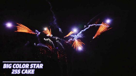 25の打撃は花火が送風する消費者ケーキの火工術1.4g Un0336を形づける