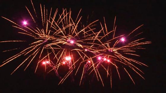 屋外の20の打撃の祭典のケーキの火工術ファンはカスタマイズされた1.4gを形づけた