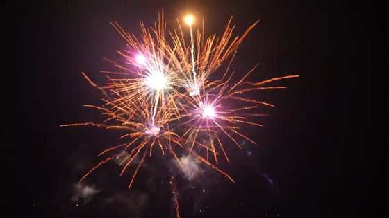 祭典のためのPyrotechnic 21の打撃のよい効果の屋外のケーキの花火