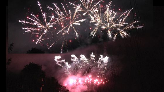瀏陽市は56の打撃の専門の花火祝祭の祭典のための1.3g Un0335を表示する