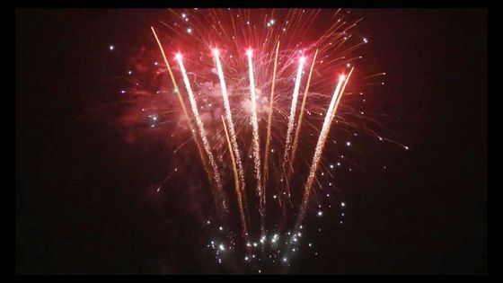 98の打撃の新年のPetardのPyrotechnic消費者ケーキの花火はカスタマイズした