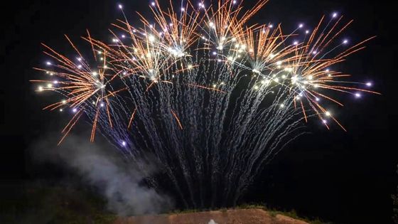マンダリン1.3gの火工術13の打撃の専門の単一の列の花火