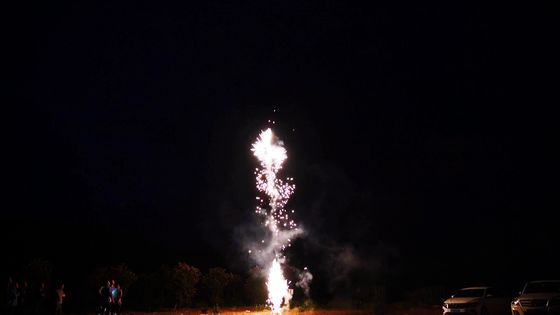 花火の類別家族のパック箱の火工術49sのつばは花火に玉を付ける