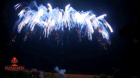 マンダリン50の打撃の専門の花火は中国の花火の火工術を固める
