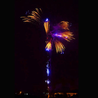 352の打撃はPyrotechnic大きい爆竹が祭典のための爆竹を固める新年の花火をカスタマイズした