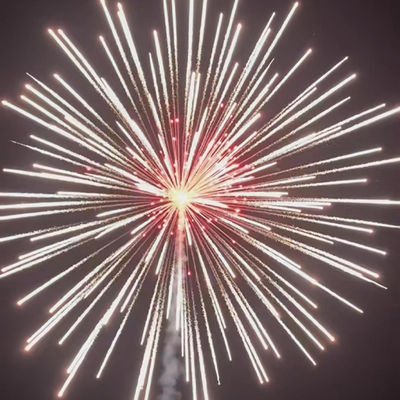 中国のプロフェッショナル・花火 新年の祝賀 6インチボールディスプレイシェル