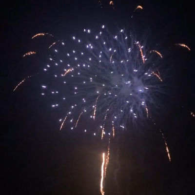 中国 25ショットケーキ 花火 祝いの集会のための花火