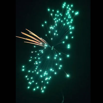 中国製 安い価格の花火 柳陽 14ショット 消費者のケーキ 花火