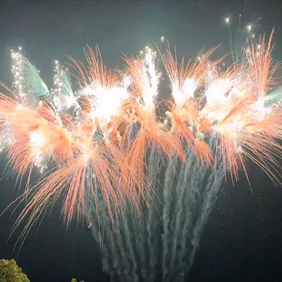 中国ケーキ花火 祭り 祝い パイロテクニック 屋外花火 2024年