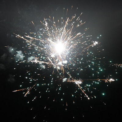 56 ショット 消費者のケーキ 花火 2024 1.4g UN0336 パーティーのために