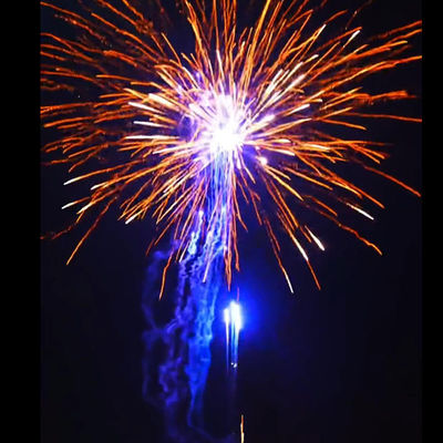 中国工場 屋外ケーキ花火 新年の祝いに花火と花火 2024年の花火