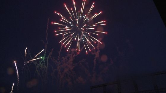 プロフェッショナル ディスプレイ 花火 販売 2.5 インチ ディスプレイ シェル 花火 1.3g Un0335  pirotechnics サプライズ MC1340