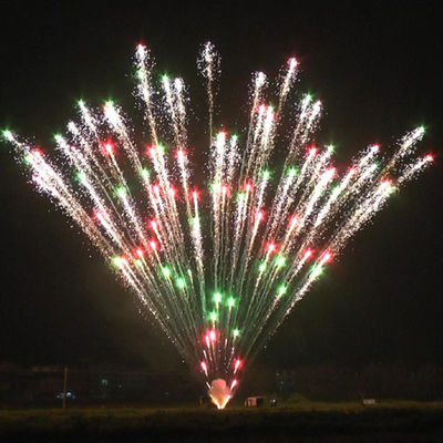 プロパイロテクニック ケーキ 208ショット ケーキ 花火 祝いの特殊効果