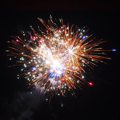 1.4 プロライン 花火 1000g 226 ショット 挨拶ケーキ クリスマスと結婚式のための花火