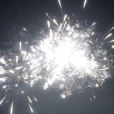 2025年 柳陽風扇形 結婚式花火 30ショット 500G ケーキ花火 祝い