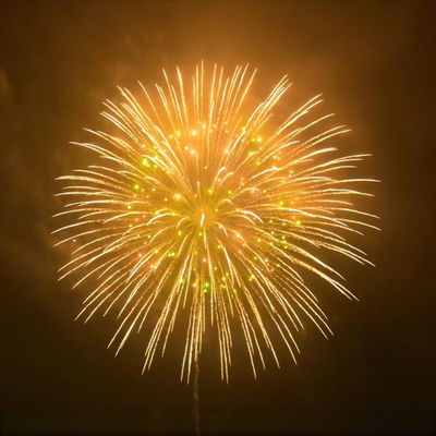中国工場 2 2 5 3 4 5 6 6 8' ディスプレイシェル 1.3g プロフェッショナル・花火 祭り・祝祭用