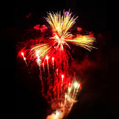パーソナライズされた178ショット  pirotechnics 1.4Gケーキ 2025年の祝いに花火