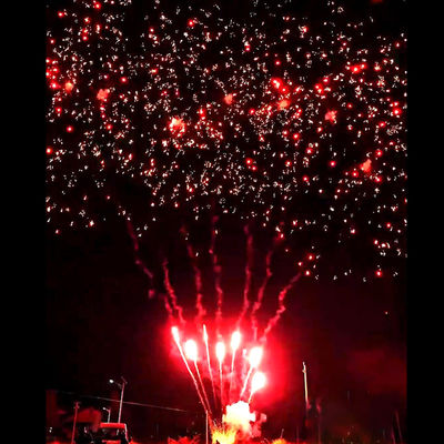 瀏陽花火用品 マンダリン 新ホット花火 56発 サルート アウトドア ケーキ バッテリー 紅梅 花火 火工品