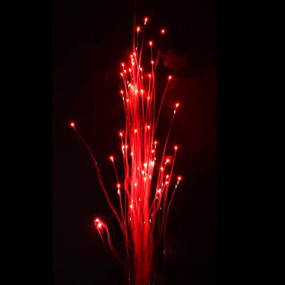 瀏陽マンダリン花火卸売花火レッドウルフハウリングニュー花火100発ケーキ花火バッテリー屋外