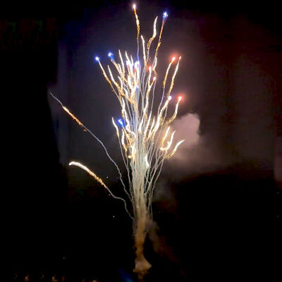 中国工場 オーダーメイド 100ショット ウルフウイルケーキ 花火 卸売  pirotechnics 新品 花火 新年 クリスマス 結婚祝い