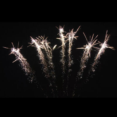 劉陽 マンダリン 花火 1.4G 花火 1.2'' 7ショット 単列扇風機形花火ケーキ 中国祭りの花火