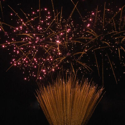 1.2 インチ100ショットケーキ花火 1.3G プロ UN0335 認定 屋外祝いのための花火