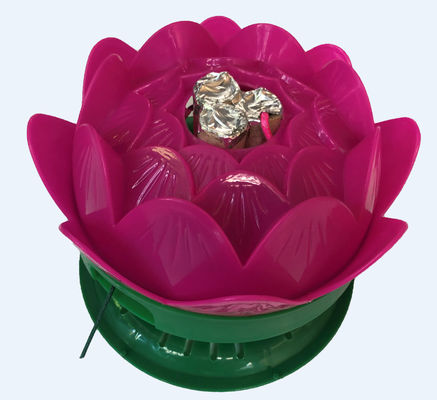 美しい地上の回転のはす花火/誕生日は花火をもてあそぶ
