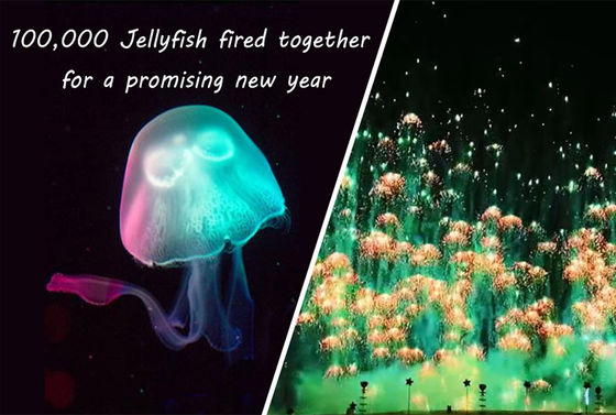 Pyrotechnic新年のおもちゃの花火のくらげの消費者新型の花火Skyshots