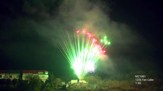 マンダリンの専門の火工術の花火クリスマスのための130の打撃