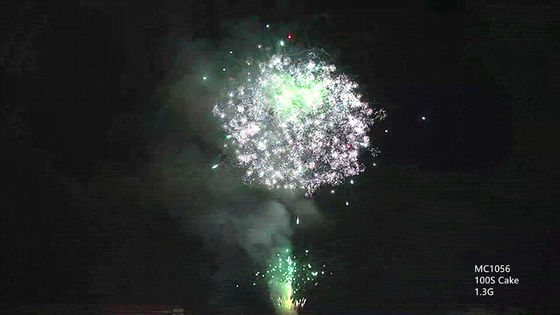 AFSLの祝祭の祭典のためのカスタマイズ可能な100つの打撃の専門のケーキの花火