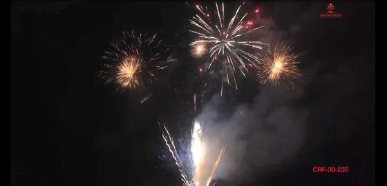 瀏陽市235の打撃のPyro消費者挨拶のケーキの花火