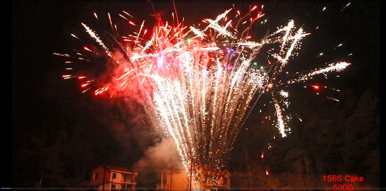 中国 高品質 500G 156ショット 消費者のケーキ花火 劉陽のプロの花火サプライヤーから