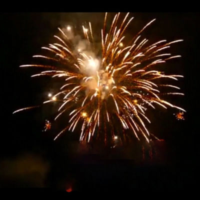 注文のPyrotechnic中国の屋外の古典的なケーキの花火16の打撃